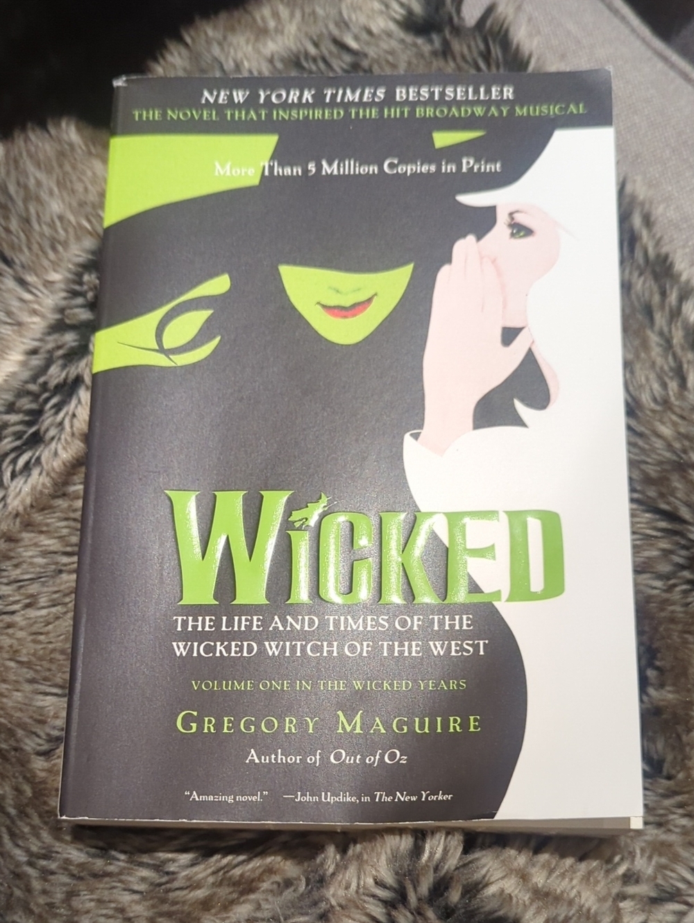 Wicked Book By Gregory Maguire